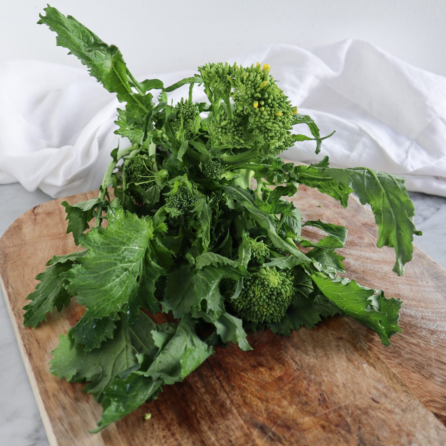 Cime di rapa Cime di rapa